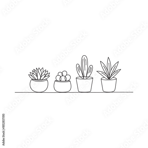 A simple line drawing of four potted succulents arranged on a shelf