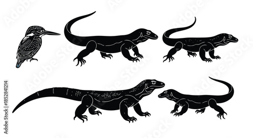 Vector illustration of a kingfisher and various lizards on a white background