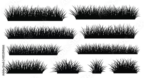 Collection of black grass silhouettes on white background vector