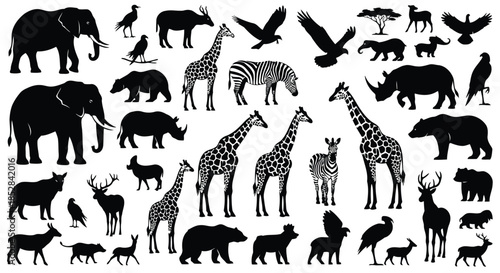 Collection of black animal silhouettes on white background vector