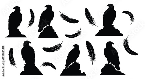 Silhouettes of eagles on rocks with feathers on white background vector
