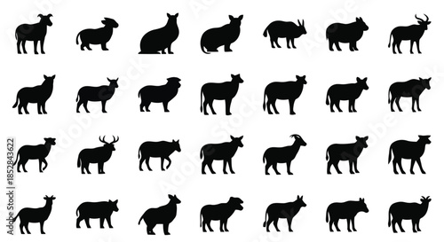Collection of various animal silhouettes on white background vector