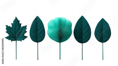 Five green leaves and one stylized flower in center, all isolated on transparent background, display minimal, modern botanical arrangement with calm, natural mood
