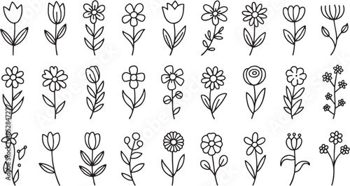 Minimal botanical line icon set. Simple floral branches, leaves and flowers in sketch style. Elegant vector illustration.