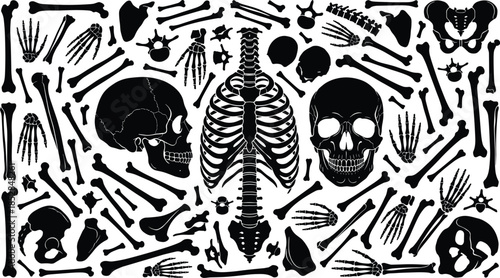 Human skeleton anatomy illustration set, detailed skull bones rib cage spine hands isolated black silhouette medical education vector design