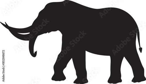 elephant silhouette vector