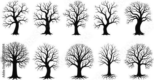Dead Tree Set Dry Naked Branch Silhouette Scary Halloween Forest Spooky Autumn Bark Winter Graveyard Oak Wood Kit Bare Roots Leafless Trunk Clipart