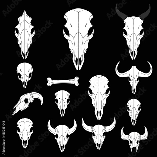 Eerie animal skull collection on black creates a dramatic, modern feel perfect for Halloween designs, edgy posters, or occult themed branding projects