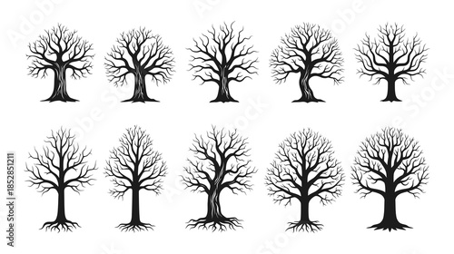 Dead Tree Set Dry Naked Branch Silhouette Scary Halloween Forest Spooky Autumn Bark Winter Graveyard Oak Wood Kit