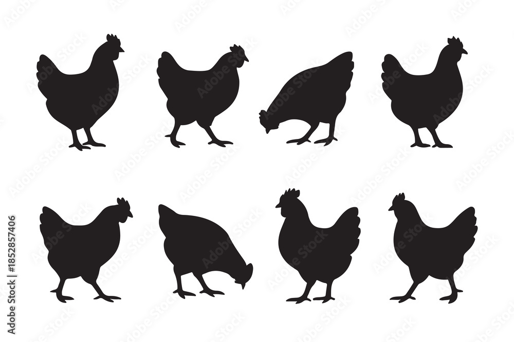 Fototapeta premium Collection of diverse chicken silhouettes in various poses on a white background