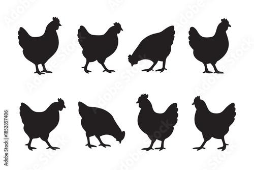Collection of diverse chicken silhouettes in various poses on a white background
