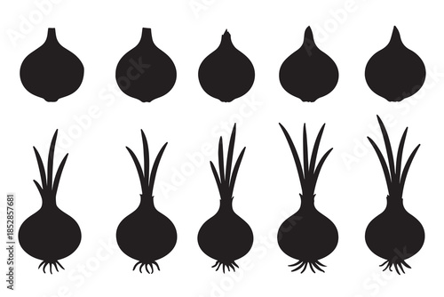 Various onion silhouettes showcasing different forms with and without green shoots and roots