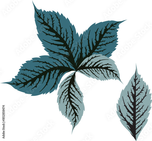 Branches with leaves. Stylized Vector illustration.