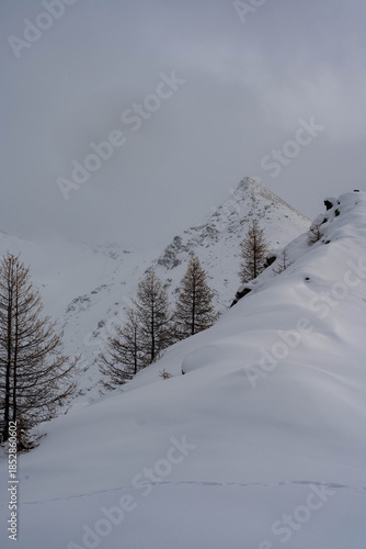 snow in the mountains