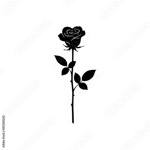 Elegant black rose silhouette isolated on transparent background