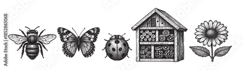 An artistic engraving features a bee, butterfly, ladybug, insect hotel, and a daisy, creating a charming vintage illustration of nature and garden life.