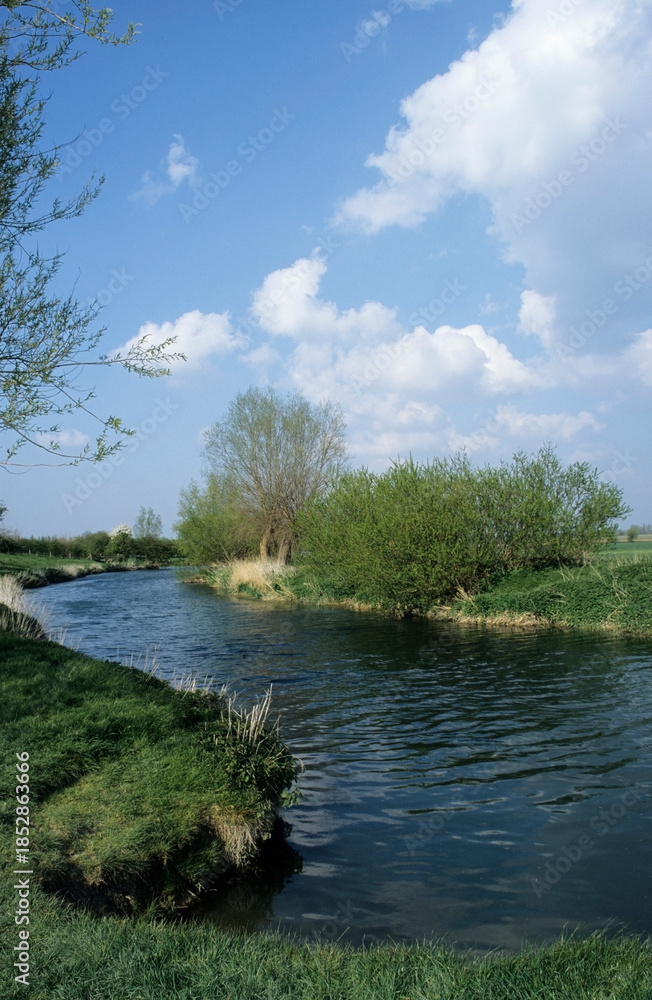 Obraz premium Landscape view of the River Cam. Location Grantchester Cambridgeshire UK Europe 2002