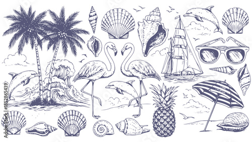 Tropical beach elements collage with palm trees and seashells Vector, illustration