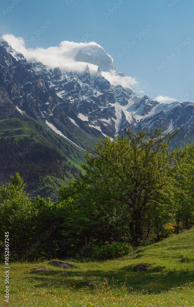 Obraz premium Vertical landscape snow mountain, with cloud and blue sky with green vibrant forest