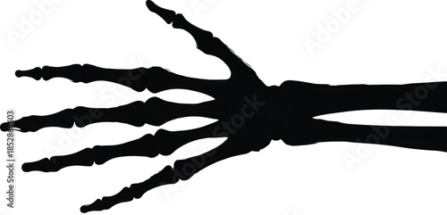 Human hand skeleton silhouette, black and white anatomy illustration, medical bone structure drawing, phalanges and metacarpals, educational skeletal diagram art
