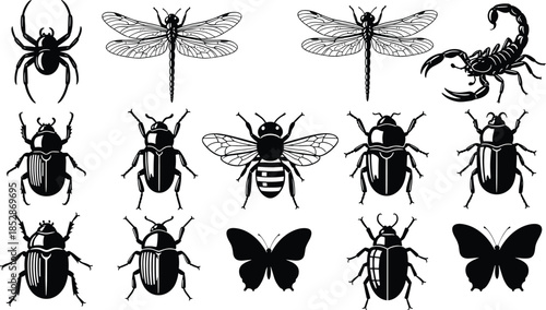 Insect and arachnid vector icons, black and white grid, beetles, butterflies, spider, scorpion, symmetrical design, entomology illustration