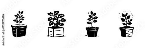 Potted Plants In Hand Drawn Style Set. Indoor Gardening, Home Decor, Plant Care Doodle Sketch Collection. Botanical Growth And Greenery. Isolated Vector Illustration