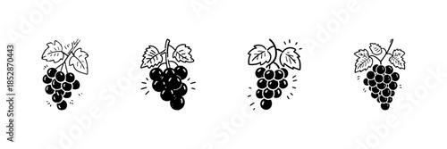 Grapes Bunches In Hand Drawn Style Set. Fresh Fruit, Vineyard Harvest, Wine Production Doodle Sketch Collection. Organic Farming Illustration. Isolated Vector Illustration