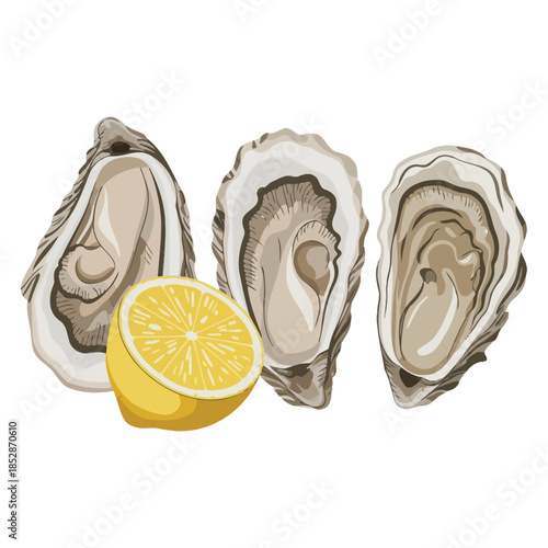 The illustration depicts three oysters spaced from left to right, a halved yellow lemon, and a white background.