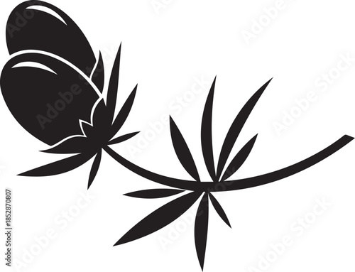 Black silhouette of a pinecone on a branch with needles against a white background pine tree