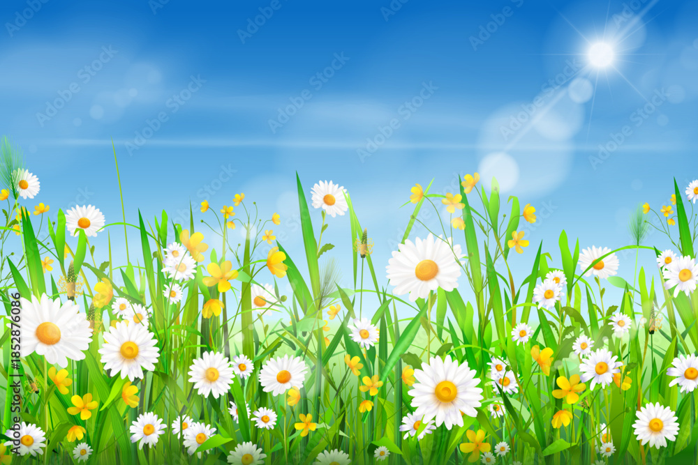 Naklejka premium Realistic chamomile field. Spring daisy flower nature plants blue sky landscape, camomile green grass with sun boke summer background meadow pattern texture vector illustration