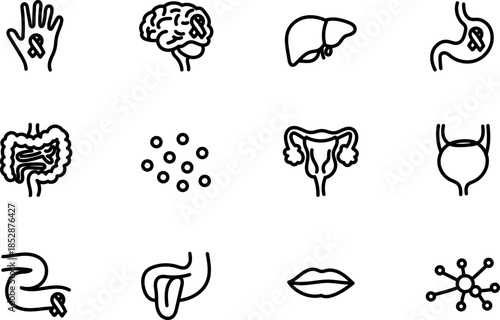 Hand Drawn Human Anatomy and Internal Organs Icons Set in Outline Style