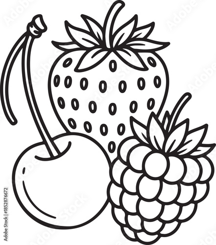 Strawberry cherry raspberry silhouette vector fruit trio outline illustration design