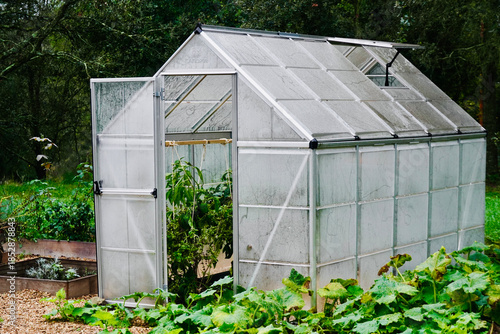 Home Garden Greenhouse Structure with Polycarbonate Panels and Open Door for Ventilation
