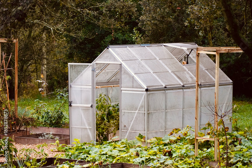Home Garden Greenhouse Structure with Polycarbonate Panels and Open Door for Ventilation