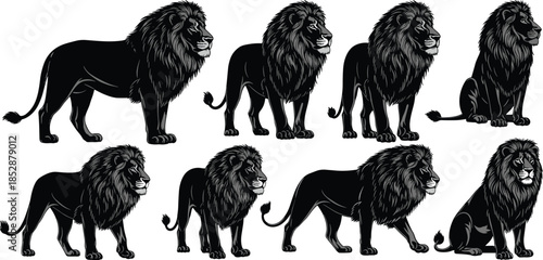 Lion illustrations, black and white lions, majestic lion poses, lion mane texture, lion silhouette art, lion posture variations, lion vector graphics