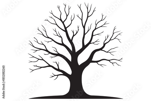 Leafless tree silhouette on white background

