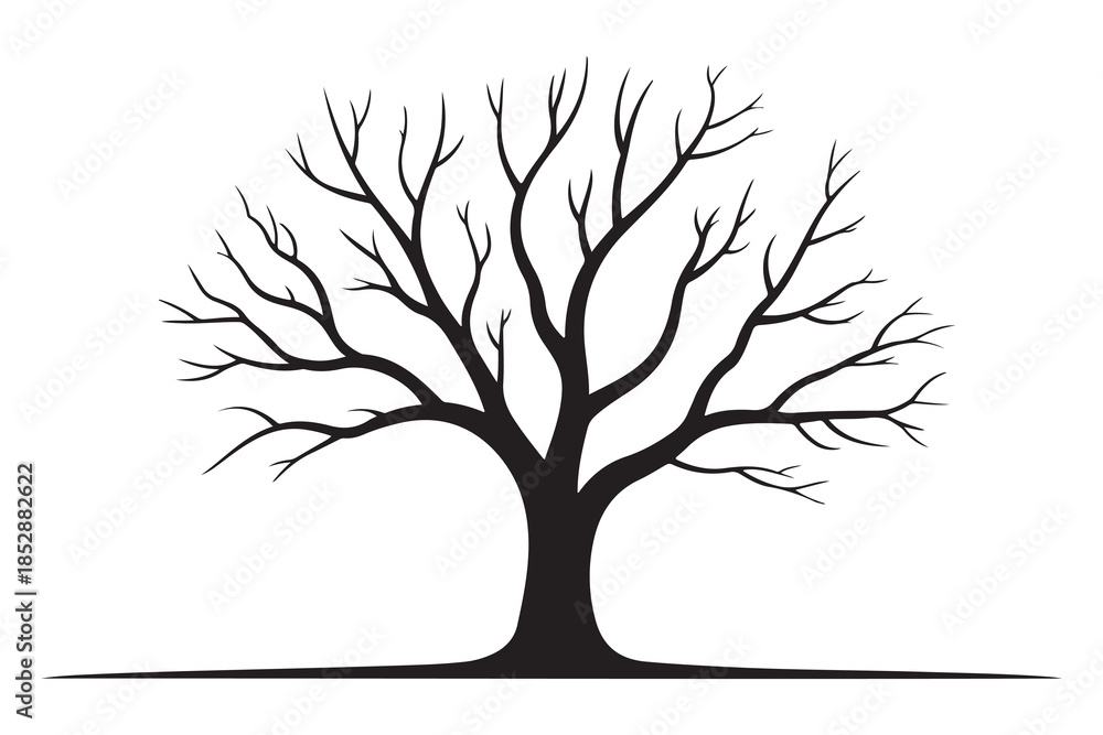 Fototapeta premium Leafless tree silhouette on white background 