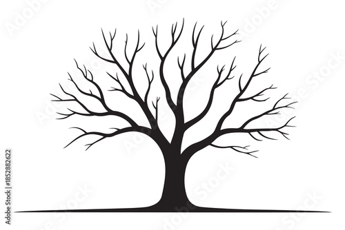 Leafless tree silhouette on white background
