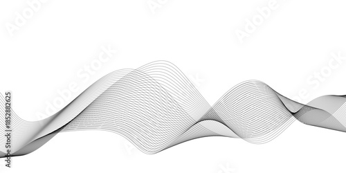 Abstract gray wave lines isolated on white background with flowing curved linear patterns, smooth parallel curves creating elegant motion, balance, and modern technology vector harmony