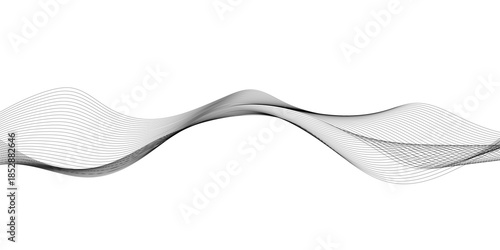 Abstract gray wave lines isolated on white background with flowing curved linear patterns, smooth parallel curves creating elegant motion, balance, and modern technology vector harmony