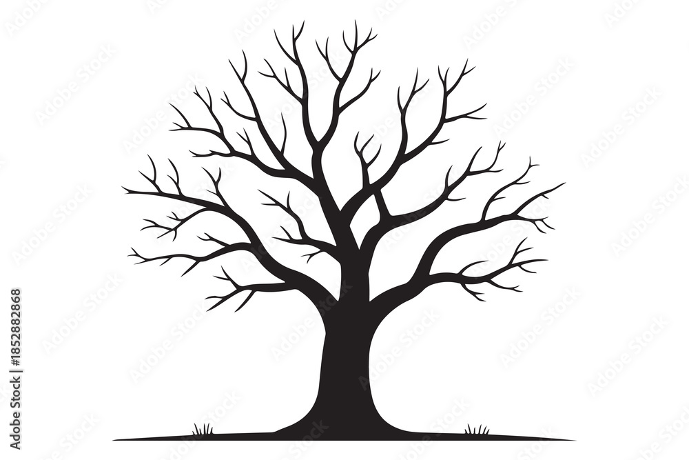 Obraz premium Leafless tree silhouette on white background 