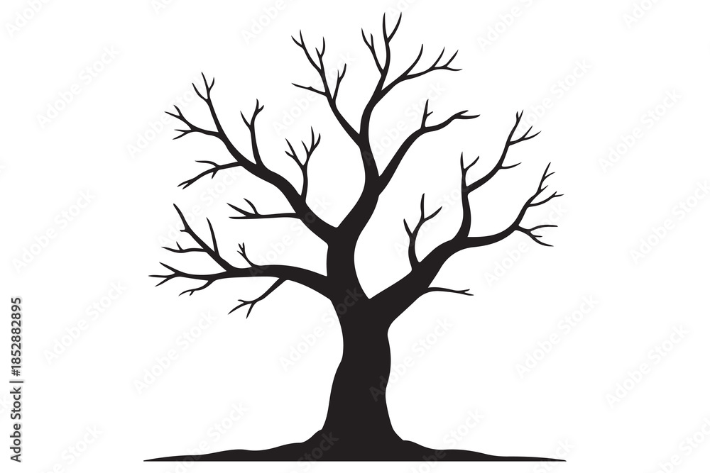 Fototapeta premium Leafless tree silhouette on white background 