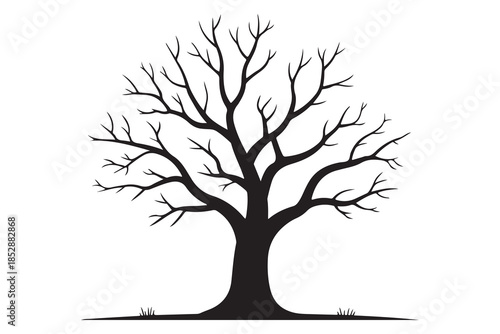 Leafless tree silhouette on white background
