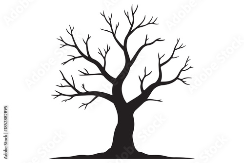 Leafless tree silhouette on white background
