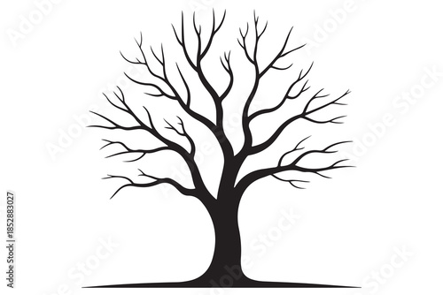 Leafless tree silhouette on white background
