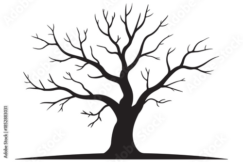 Leafless tree silhouette on white background
