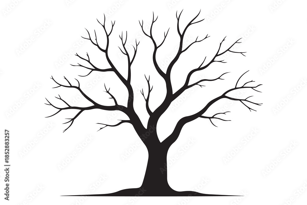 Fototapeta premium Leafless tree silhouette on white background 