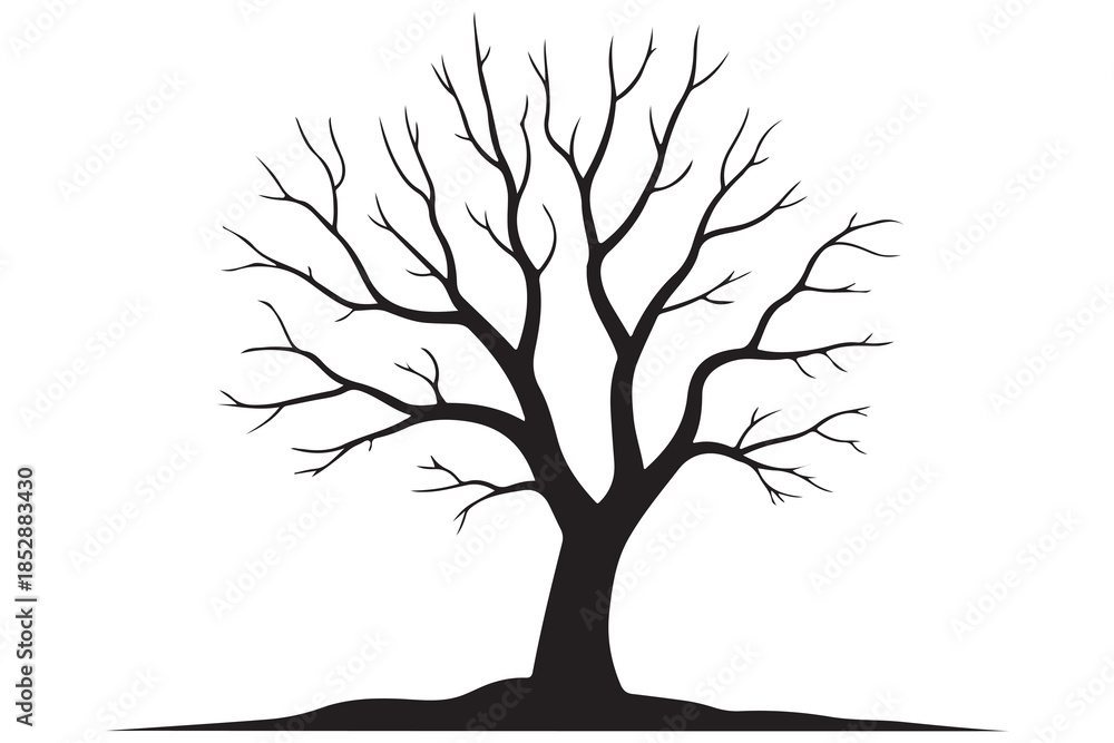Fototapeta premium Leafless tree silhouette on white background 