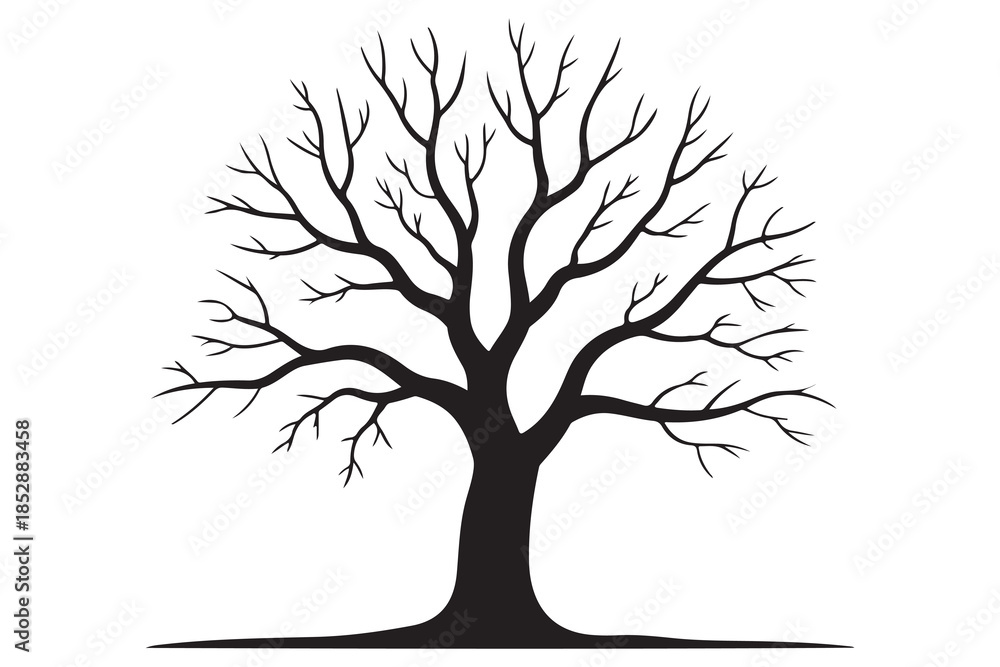 Fototapeta premium Leafless tree silhouette on white background 