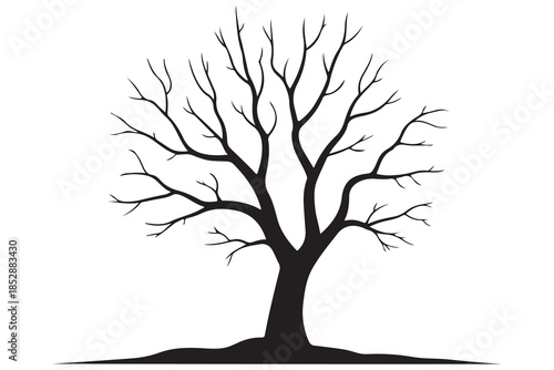 Leafless tree silhouette on white background
